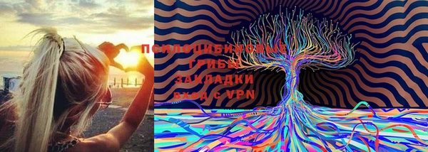 таблы Алексеевка
